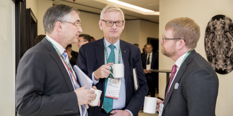 Carl Bildt, Co-Chair of the European Council on Foreign Affairs